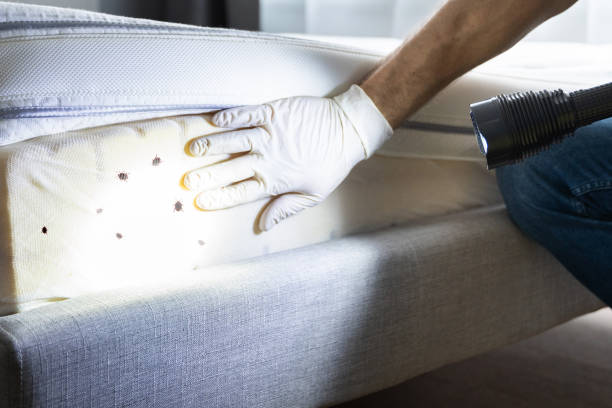 Best Commercial Pest Control Services  in Dove Valley, CO