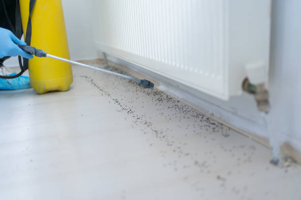 Best Wildlife Control Services  in Dove Valley, CO